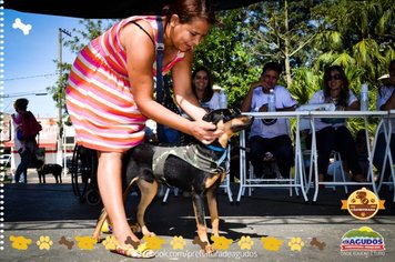 Foto - Primeira Cãominhada
