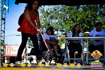 Foto - Primeira Cãominhada