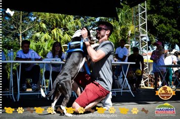 Foto - Primeira Cãominhada