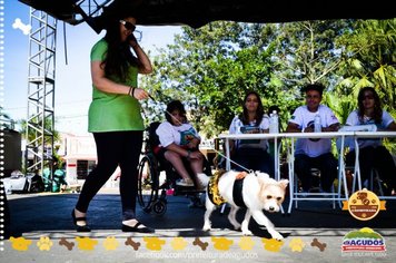 Foto - Primeira Cãominhada