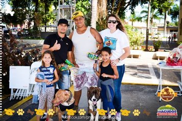 Foto - Primeira Cãominhada