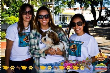 Foto - Primeira Cãominhada