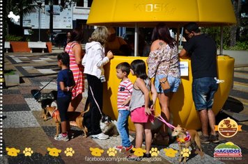 Foto - Primeira Cãominhada