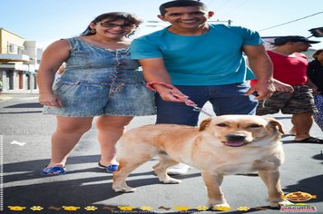 Foto - Primeira Cãominhada
