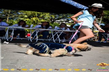 Foto - Primeira Cãominhada