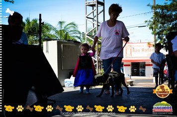 Foto - Primeira Cãominhada