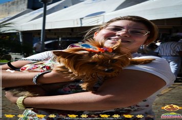 Foto - Primeira Cãominhada