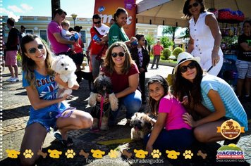 Foto - Primeira Cãominhada