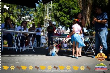 Foto - Primeira Cãominhada