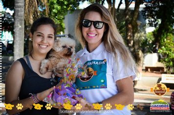 Foto - Primeira Cãominhada