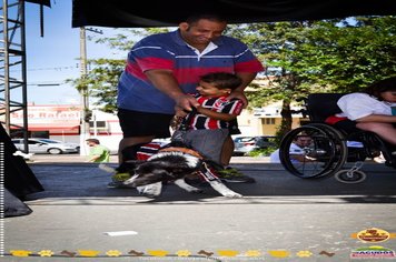 Foto - Primeira Cãominhada