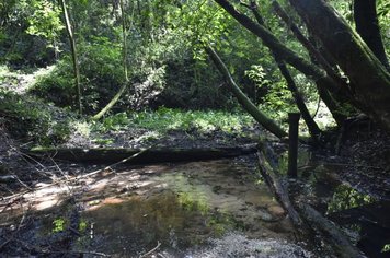 Foto - Evento oficializa APP da nascente modelo de Agudos