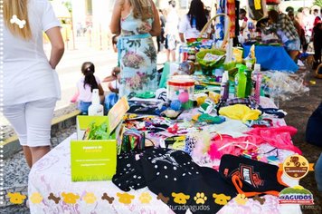 Foto - Primeira Cãominhada