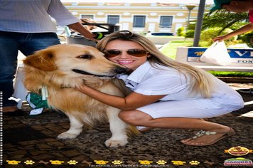 Foto - Primeira Cãominhada