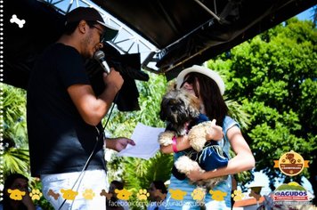 Foto - Primeira Cãominhada