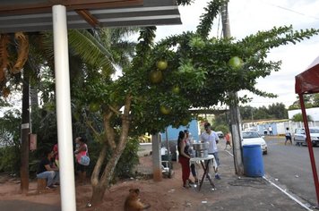 Foto - Festa de natal em Domélia