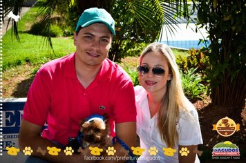 Foto - Primeira Cãominhada