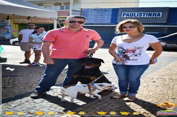 Foto - Primeira Cãominhada