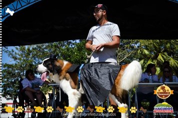 Foto - Primeira Cãominhada