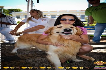 Foto - Primeira Cãominhada