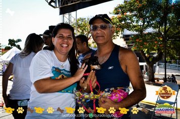 Foto - Primeira Cãominhada