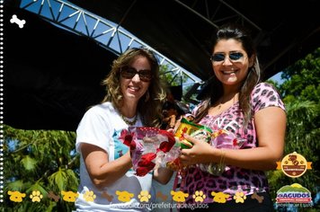 Foto - Primeira Cãominhada