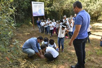 Foto - Evento oficializa APP da nascente modelo de Agudos