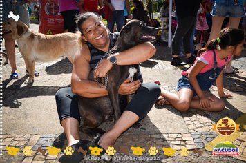 Foto - Primeira Cãominhada
