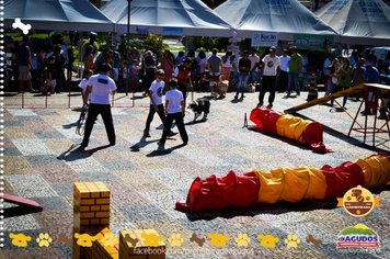 Foto - Primeira Cãominhada