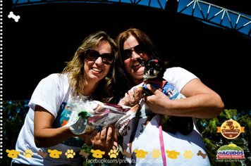 Foto - Primeira Cãominhada