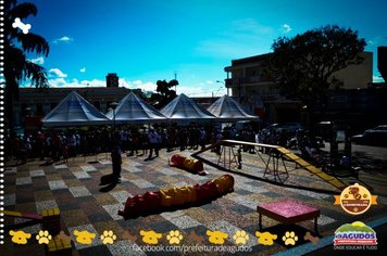 Foto - Primeira Cãominhada