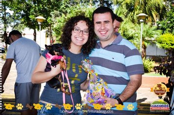 Foto - Primeira Cãominhada