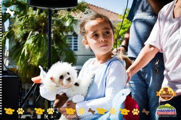 Foto - Primeira Cãominhada