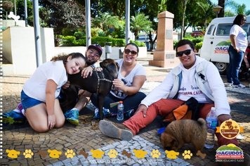 Foto - Primeira Cãominhada
