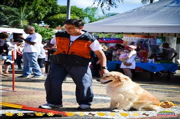 Foto - Primeira Cãominhada