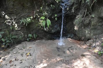 Foto - Evento oficializa APP da nascente modelo de Agudos