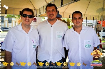 Foto - Primeira Cãominhada