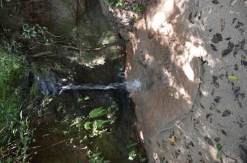 Foto - Evento oficializa APP da nascente modelo de Agudos