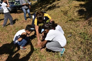 Foto - Evento oficializa APP da nascente modelo de Agudos