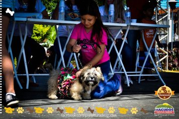 Foto - Primeira Cãominhada