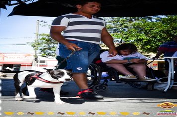 Foto - Primeira Cãominhada