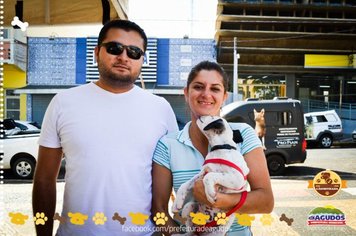 Foto - Primeira Cãominhada