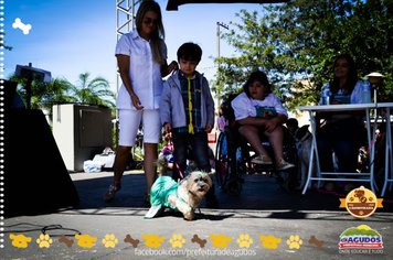 Foto - Primeira Cãominhada