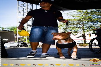 Foto - Primeira Cãominhada