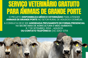 Prefeitura de Agudos oferece serviço veterinário gratuito para animais de grande porte