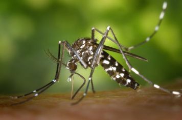 Secretaria de Saúde promove ações contra a dengue em Agudos
