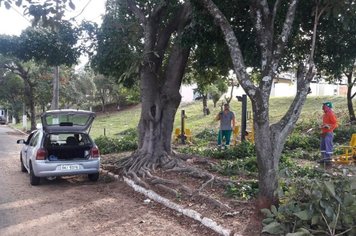 Secretaria de Meio Ambiente realiza adubação, limpeza e podas de árvores em toda cidade