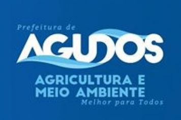 Prefeitura ampliará coleta seletiva a partir de janeiro