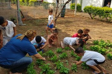 Alunos da escola SMAT, de Agudos, transformam leitura do objetivo da ONU em atividade prática de agricultura sustentável