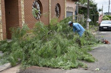 Prefeitura de Agudos divulga cronograma de coleta de galhos do mês de novembro